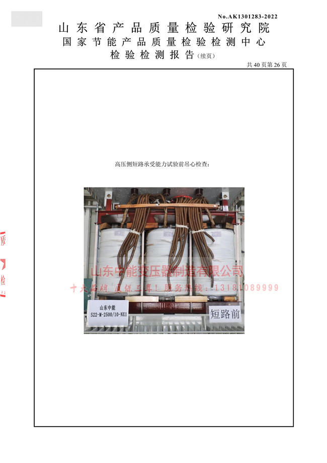 山东中能S22-M-2500型式_28_1.jpg